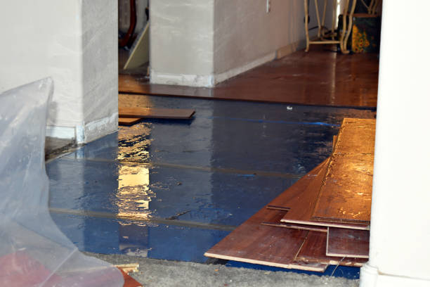 Professional Flood Cleanup technician working in Trinway, OH